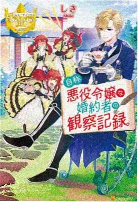 偶像大师 灰姑娘